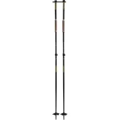 Vendite Rossignol 20 Armada AK Adjustable Pole